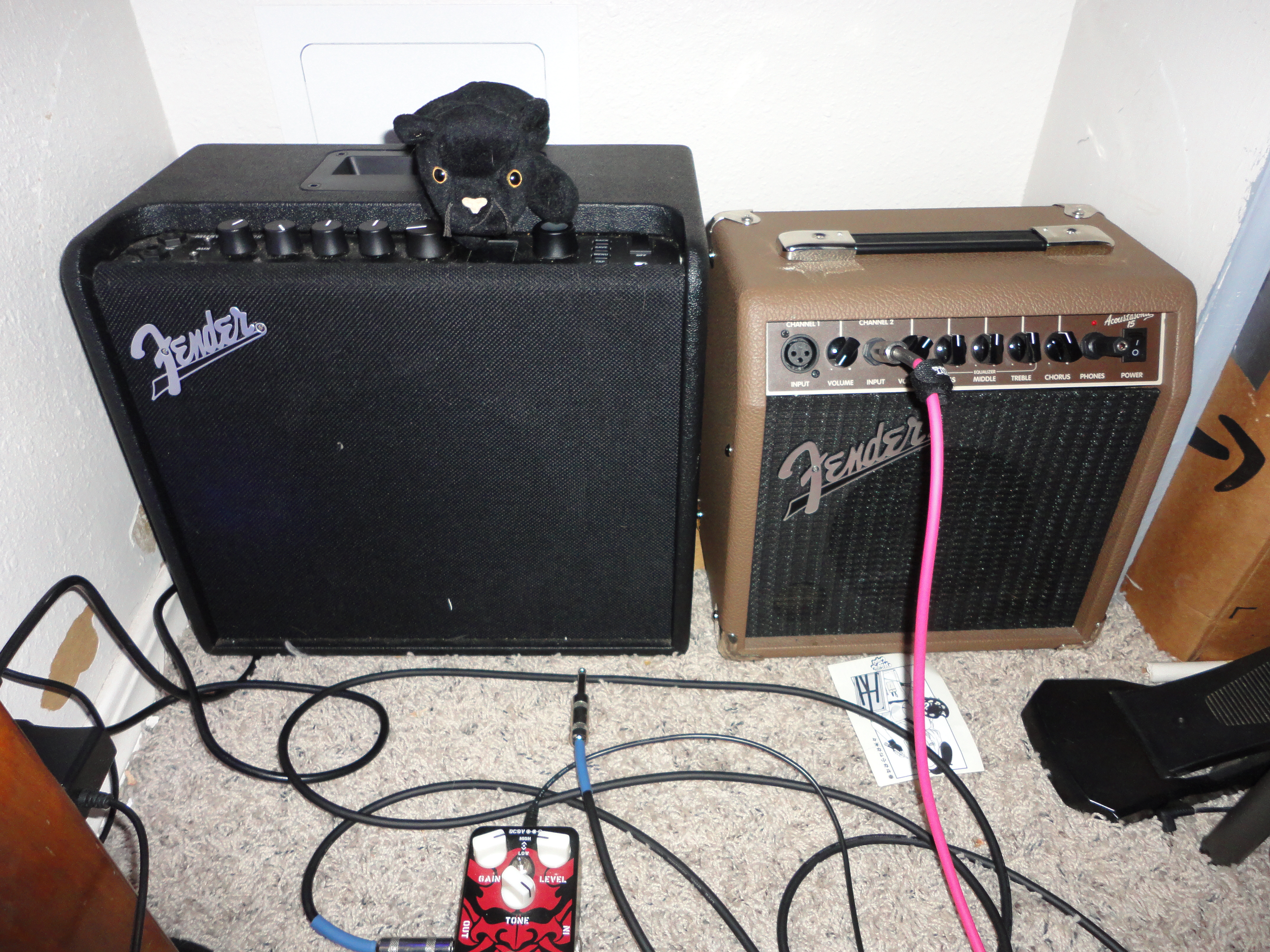 sowwy no bass photo